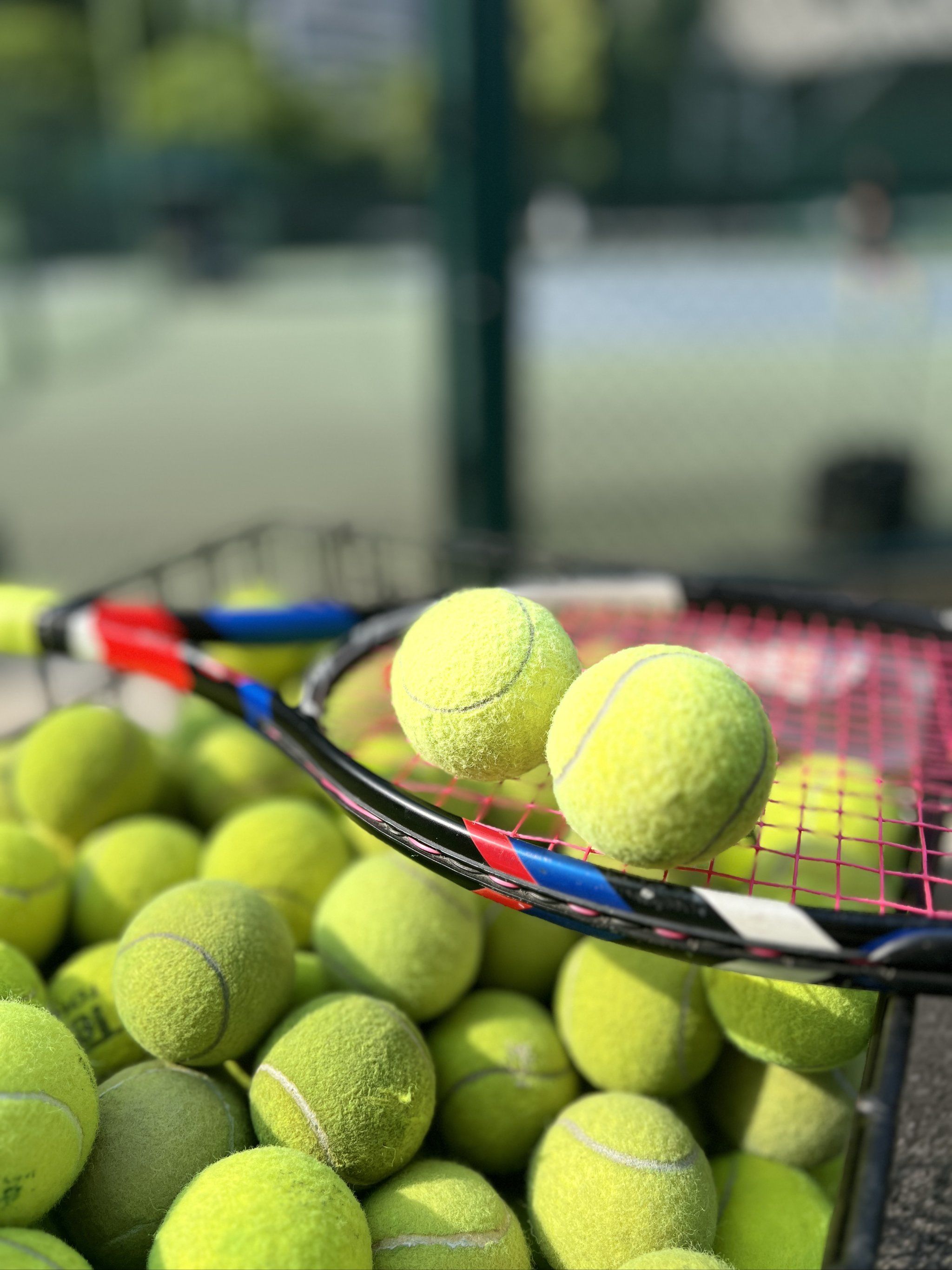 同时对违反 同时对违反